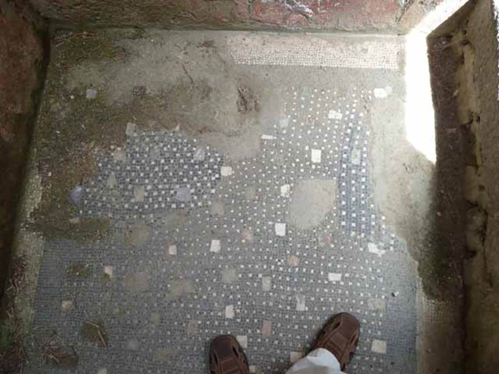 VI.9 Herculaneum. May 2010. Black and white mosaic floor, inserted with polychrome marble.
